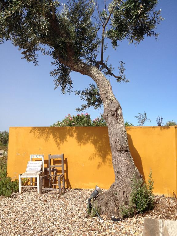 O Vale Da Mudanca Villa Monte da Pedra Alva Exteriör bild