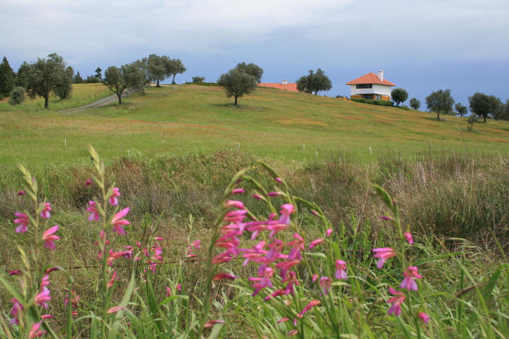 O Vale Da Mudanca Villa Monte da Pedra Alva Rum bild